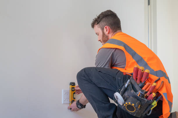 Best Local Electrician Companies  in Awendaw, SC